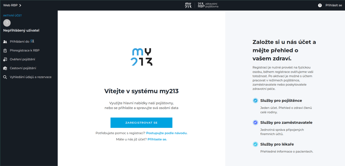 My213 website preview